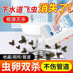 下水道小飞虫灭杀神器卫生间厕所管道专用除虫杀虫剂蛾蚋蠓防灭药