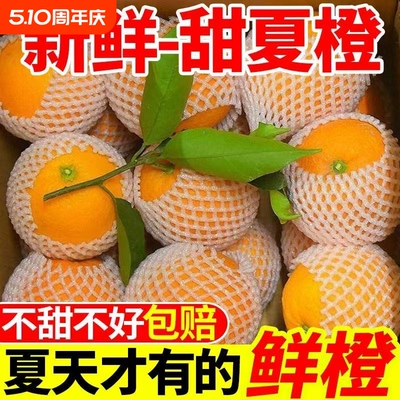 正宗广西桂林夏橙整箱包邮新鲜大果时令水果整箱冰糖手剥甜橙2