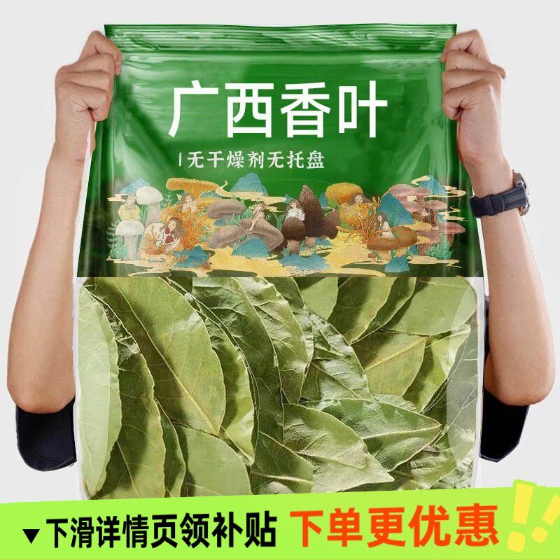 新鲜头茬香叶 新货广西新货香叶无硫香叶香料卤料商用食用批发