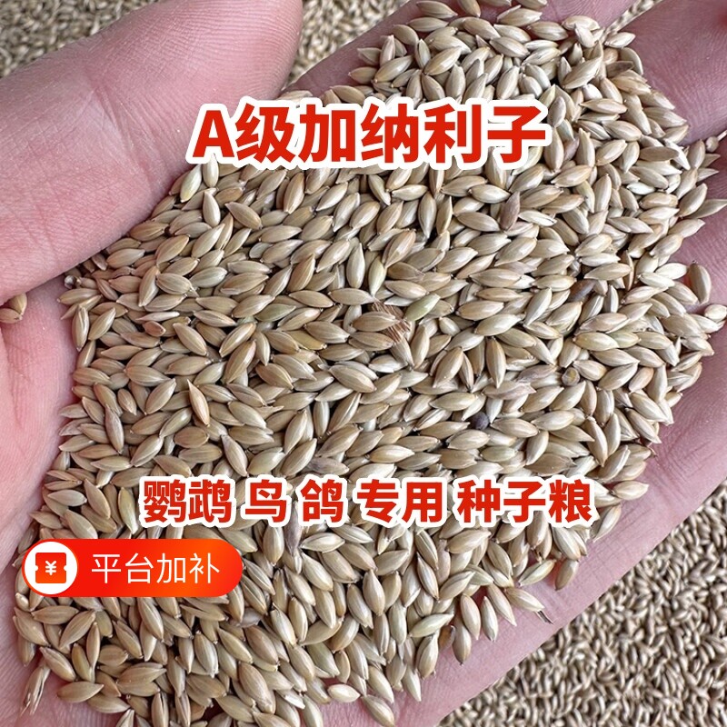 进口加纳利子鹦鹉营养粮鸟食玄凤虎皮牡丹白尖饲料草籽种子粮