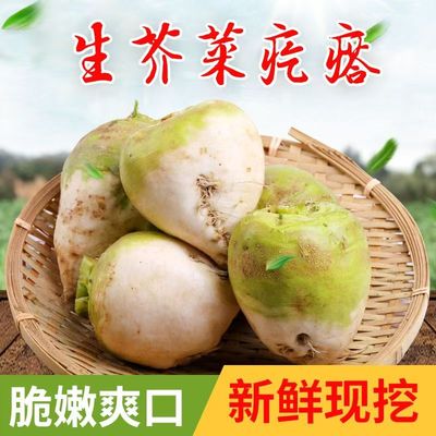 新鲜芥菜疙瘩大头菜新鲜下饭菜芥菜丝辣菜酱菜农家蔬菜