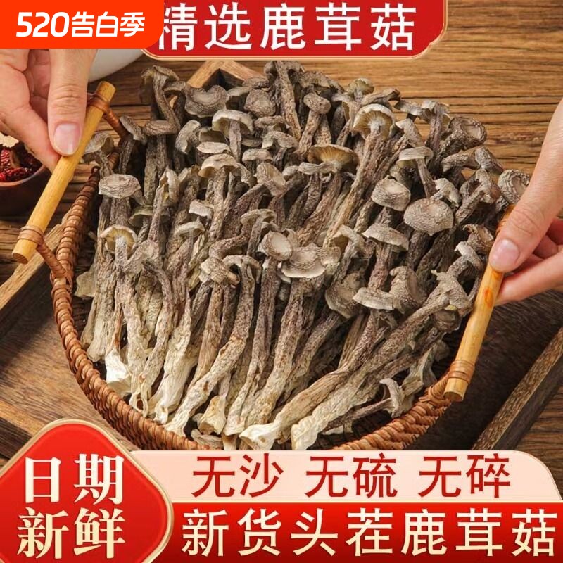 鹿茸菇干货无硫新货鹿茸菌煲汤食材脆脆菇蘑菇香菇炖鸡鸭营养美味