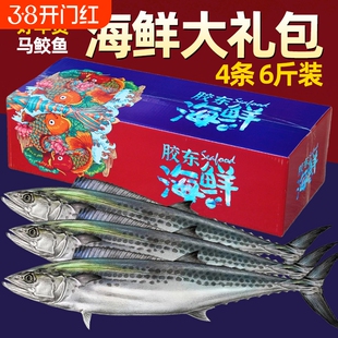 新鲜大马鲛鱼鲅鱼鲜活鲅鱼鲜海鱼青花鱼海鲜海捕礼盒装