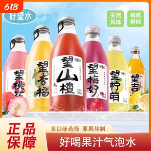 好望水望山楂气泡水果味饮料望柠檬梅好碳酸饮料解腻好喝送礼正品