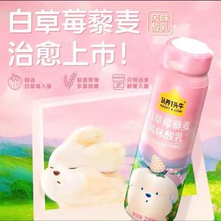 认养一头牛白草莓藜麦风味酸奶230g 10瓶整箱多规格9月产