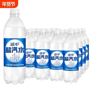 延中盐汽水600ml*20瓶整箱团购 防暑降温汽水 夏季咸味上海盐汽水