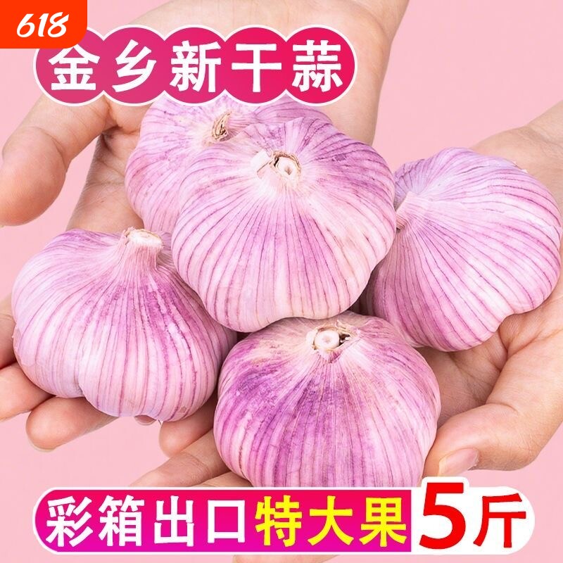 山东金乡大蒜头紫皮干蒜批发新鲜蔬菜蒜瓣蒜农家自提生鲜当季自种