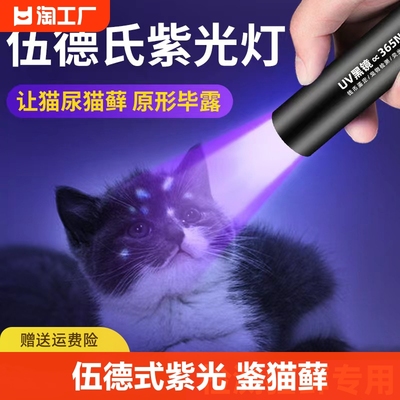 伍德氏灯照猫藓宠物猫尿检测手电筒紫外线荧光剂紫光验钞鉴定检查