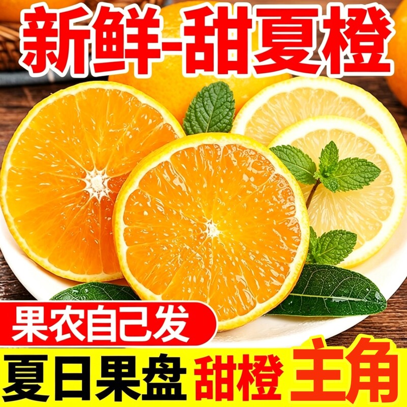 【现摘夏橙】新鲜湖南江永夏橙蜜橙新鲜水果柑橘榨汁手剥橙子大果