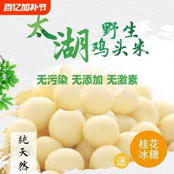 2025年鸡头米新鲜苏州特产芡实欠茨实正宗太湖大颗粒苏芡冷冻食材