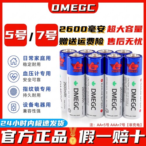DMEGC原装5号电池2600毫安