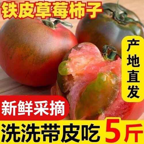 正宗铁皮草莓柿子新鲜当季西红柿生吃水果番茄顺丰包邮自然熟碱地