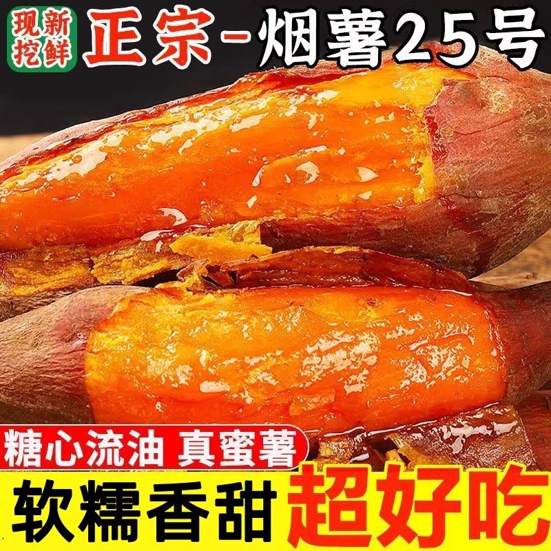 山东烟薯25号地瓜红薯糖心蜜薯新鲜番薯农家流油沙地烤地瓜甜山芋,水产肉类/新鲜蔬果/熟食,番薯,淘宝优惠券,粉丝福利购,淘宝优惠卷