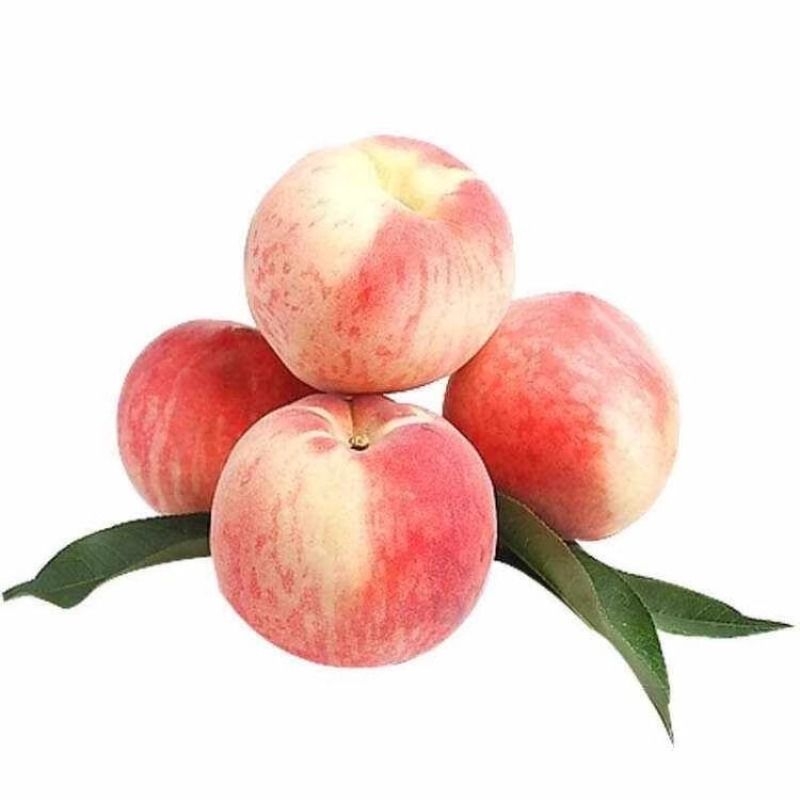 云南大理冬桃新鲜桃子毛桃当季水果可口现摘现发大人孩子都爱吃