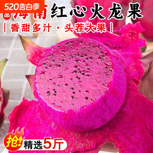 海南金都一号红心火龙果新鲜水果