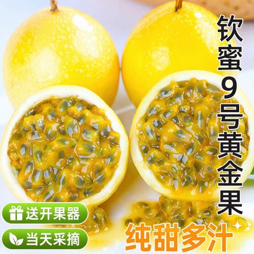 正宗黄金百香果1斤/3斤/5斤包邮大果钦蜜9号树熟当季新鲜水果包邮