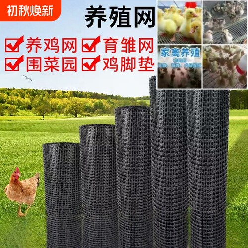 塑料网格防护网养殖菜园鱼塘