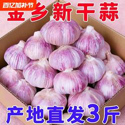 大蒜2026年正宗山东金乡新干蒜农家新鲜头紫白皮3斤5斤批发