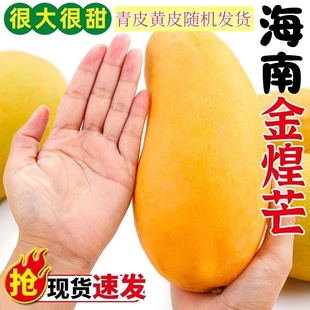 海南黄皮金煌新鲜芒果水果水仙芒果整箱9斤现摘当季热带皮薄核小5