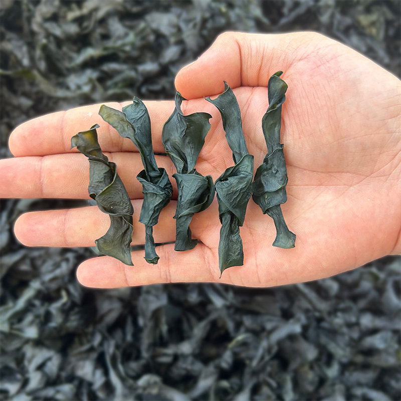 烘干海带结干货500g海带扣特厚无沙麻辣烫火锅关东煮商用新鲜优质