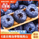 整箱高山大果怡颗甜野生高端蓝莓 蓝莓鲜果新鲜水果6盒云南当季