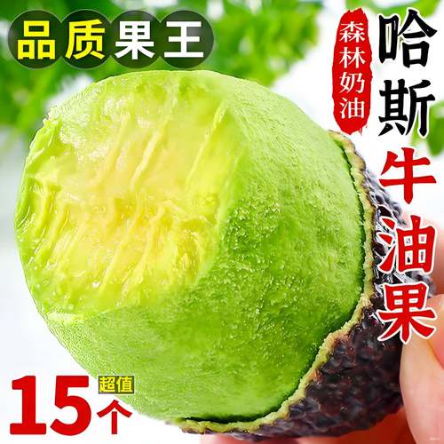 哈斯牛油果当季新鲜水果