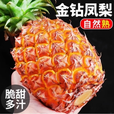 海南金钻凤梨正宗海南金钻凤梨新鲜水果手撕凤梨当季菠萝特产