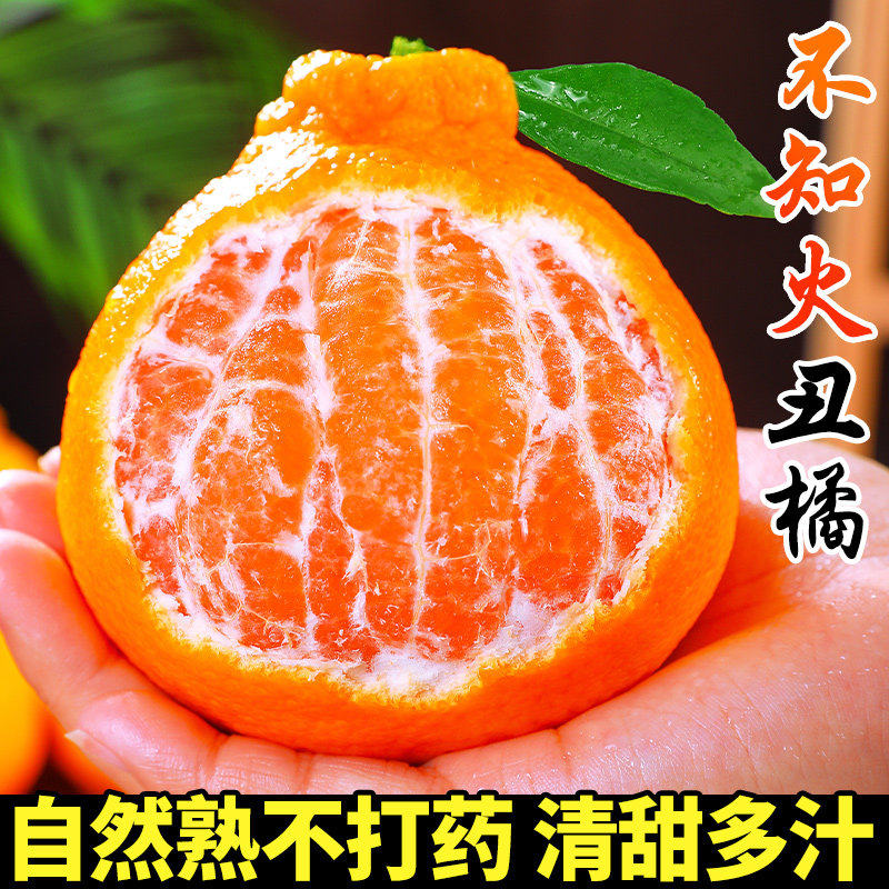 四川不知火丑橘高山新鲜水果当季蜜耙耙桔子柑整箱包邮9斤大果,水产肉类/新鲜蔬果/熟食,桔子,淘宝优惠券,粉丝福利购,淘宝优惠卷