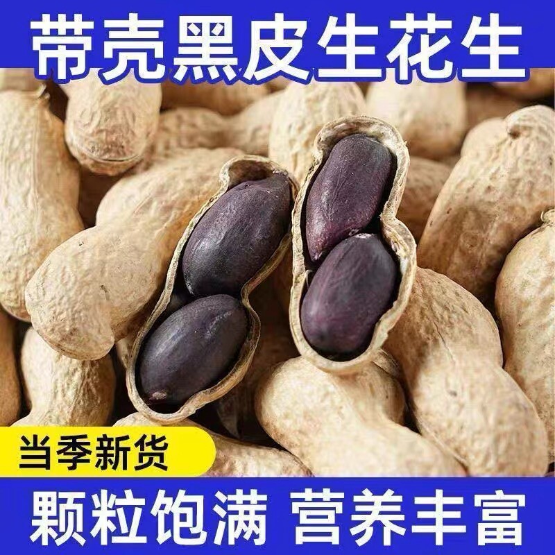 云南黑花生种子富硒黑皮带壳官方旗舰店日晒晒干好吃健康袋装酥脆