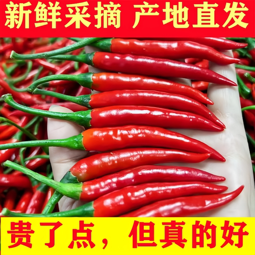 云南小米辣小米椒新鲜朝天椒小米辣现摘特辣辣椒农家辣椒