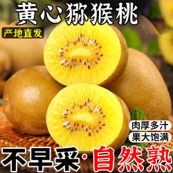 黄心猕猴桃新鲜包邮特大果旗舰店黄金金果奇异果应季水果产地直发