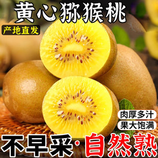 黄心猕猴桃新鲜包邮特大果旗舰店黄金金果奇异果应季水果产地直发