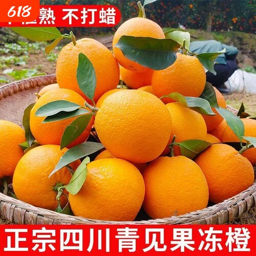 正宗四川爱媛38号果冻橙5-9斤