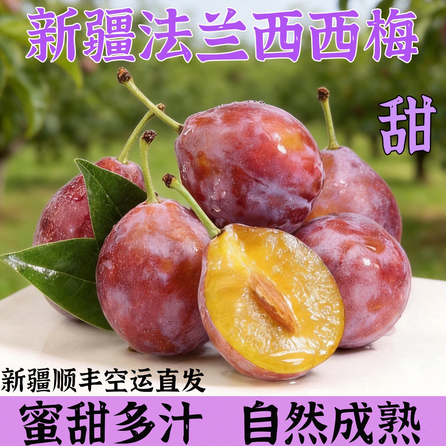 新疆喀什法兰西西梅新鲜核小当季生鲜水果顺丰现摘优质黄金自提