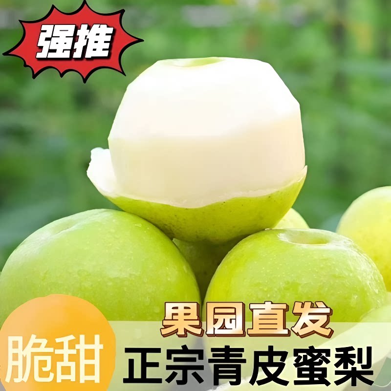 安徽青皮蜜梨酥脆一号正宗翠冠梨子皇冠苹果梨应季新鲜水果砀山梨图片