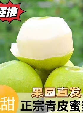 安徽青皮蜜梨酥脆一号正宗翠冠梨子皇冠苹果梨应季新鲜水果砀山梨