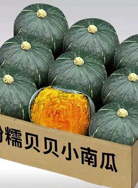 正宗贝贝南瓜新鲜板栗味