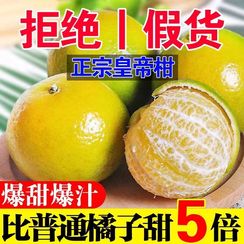 皇帝柑贡柑正宗新鲜应季水果现摘酸甜青皮柑橘桔子蜜桔整箱批发
