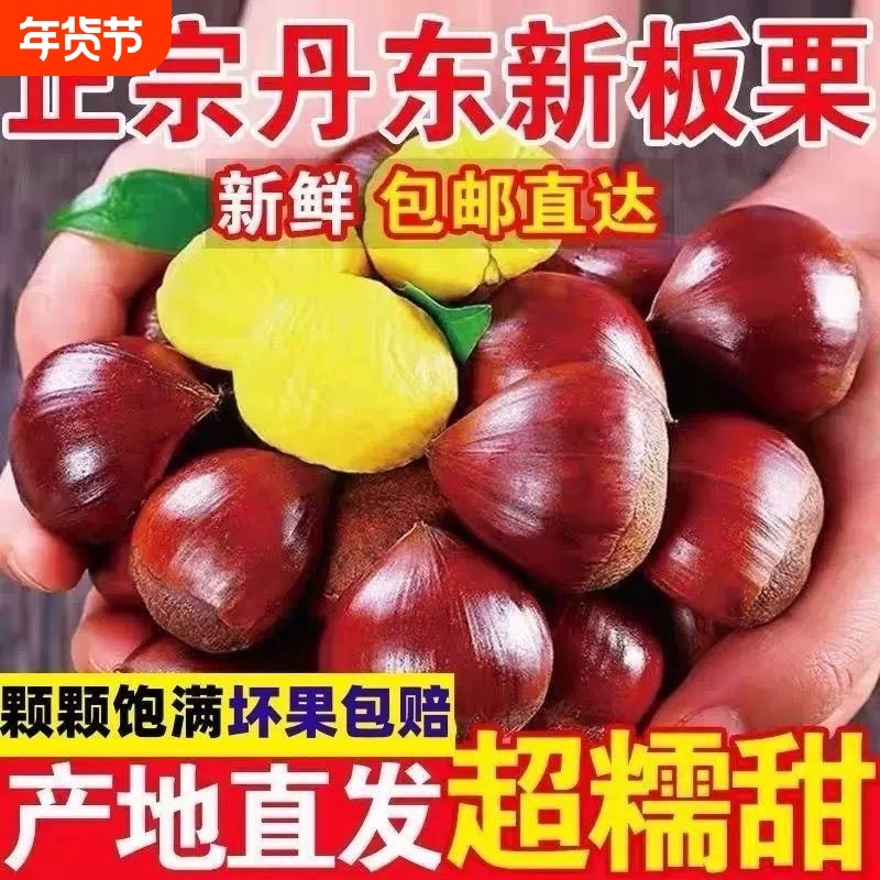 新鲜农家现摘辽宁丹东新鲜生现摘大板栗3斤栗子锥油栗仁蔬罗田5