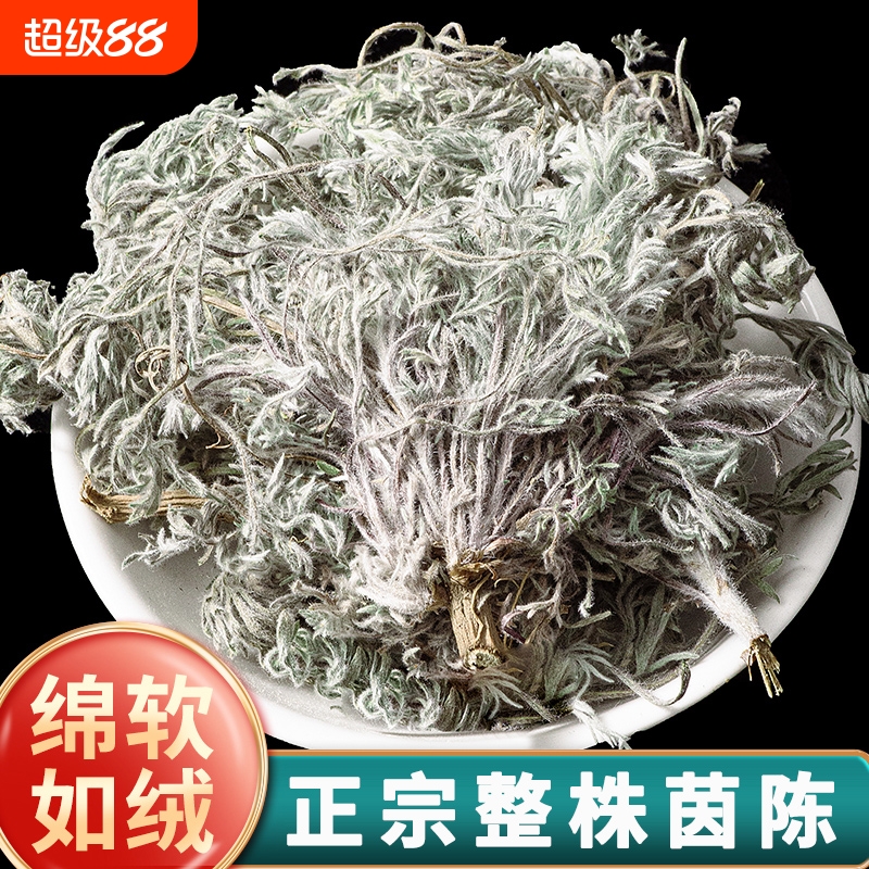 野生茵陈中药材正品干货白蒿棉茵陈蒿绵茵陈因陈新货三月散装