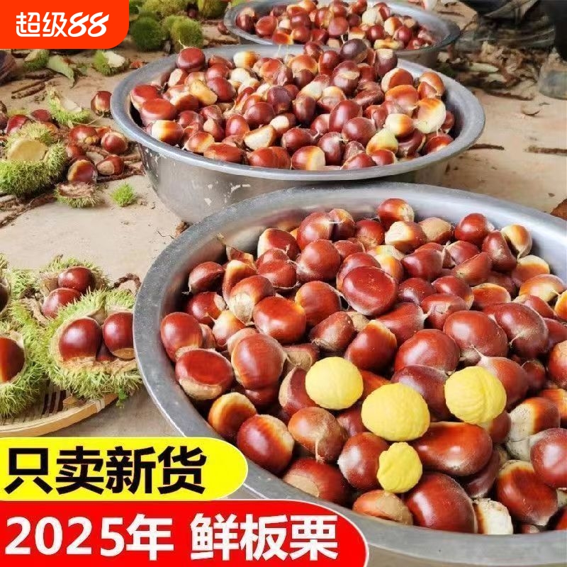 2025新下树新鲜老树板栗新鲜生栗子鲜板栗生板栗毛栗子散装新货