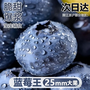 纯甜 包邮 云南蓝莓鲜果新鲜高端水果当季 怡颗高山L25花香孕妇整箱
