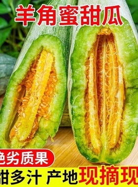 正宗山东羊角蜜甜瓜新鲜水果整箱5斤羊角脆蜜瓜当季现摘头茬香瓜