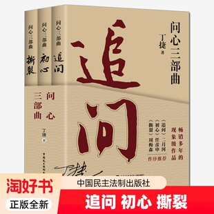 问心三部曲丁捷追问初心撕裂全3册政论纪实反腐警示录二月河周梅森做序落马官员的罪与罚文学小说书籍正版