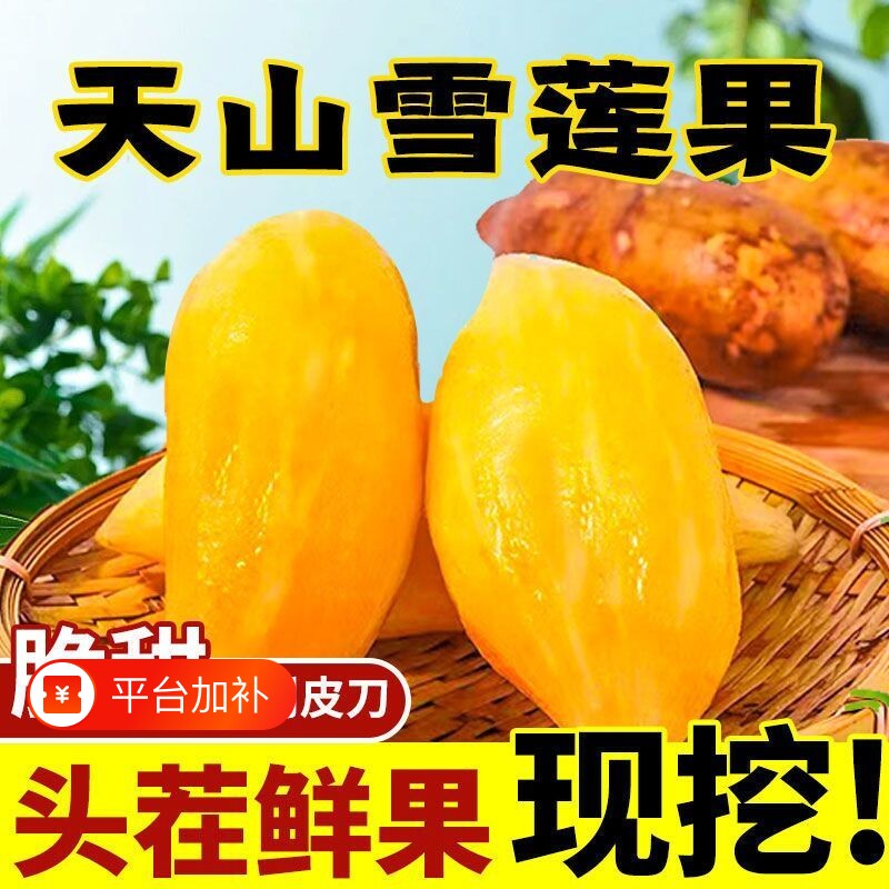 云南黄雪莲果新鲜水果当季特红心果凡雪连果整箱现挖脆甜9斤天山