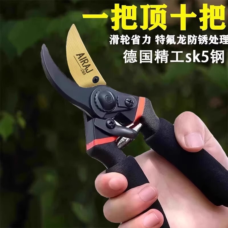 精工园艺树枝剪刀修枝剪图片