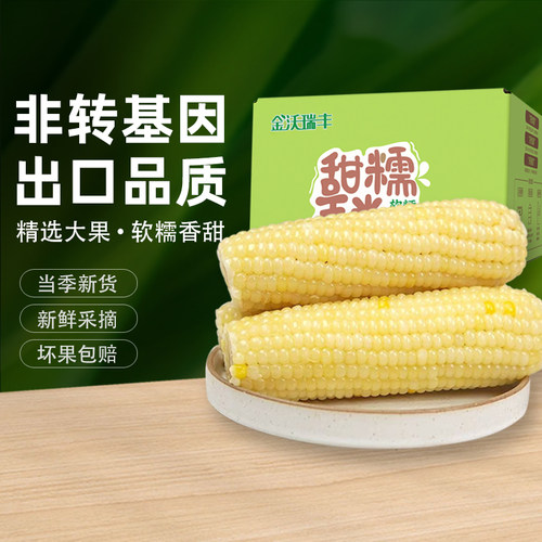 非转基因头茬白糯玉米棒