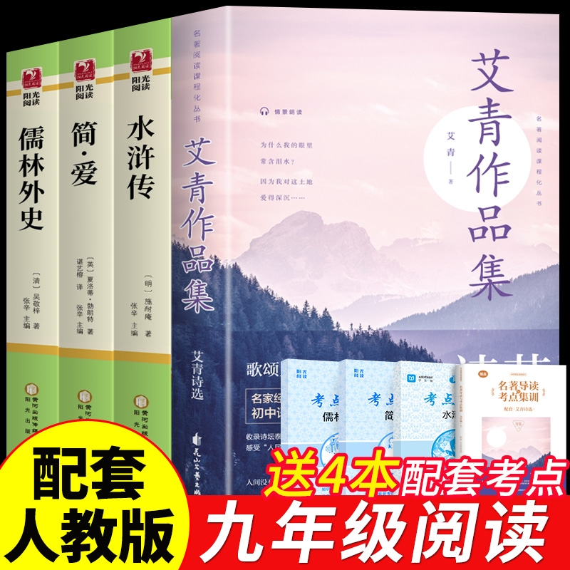 配套人教版】儒林外史简爱九年级