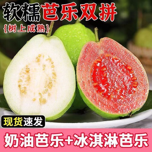 正宗广东奶油双拼芭乐红心白心新鲜心软糯香甜水果番石榴新鲜水果