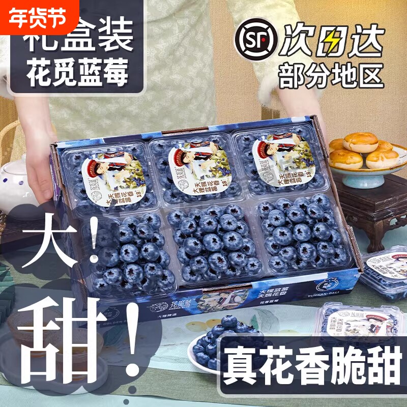 花觅蓝大理蓝莓云南超甜蓝莓鲜果 当季限量新鲜L25花香大蓝莓顺丰